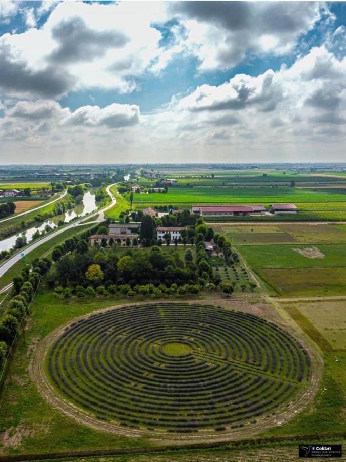 La Tenuta Va Oltre Bovolenta Extérieur photo